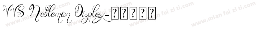 VVS Nobleman Display字体转换